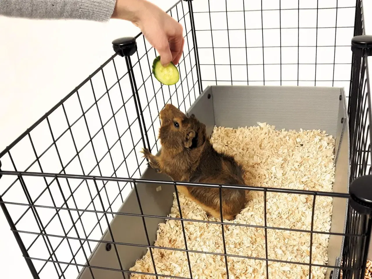 Billede 5 - Gnaverbure – C&C modulbur 4x2 med loft 2x1 og grå rampe