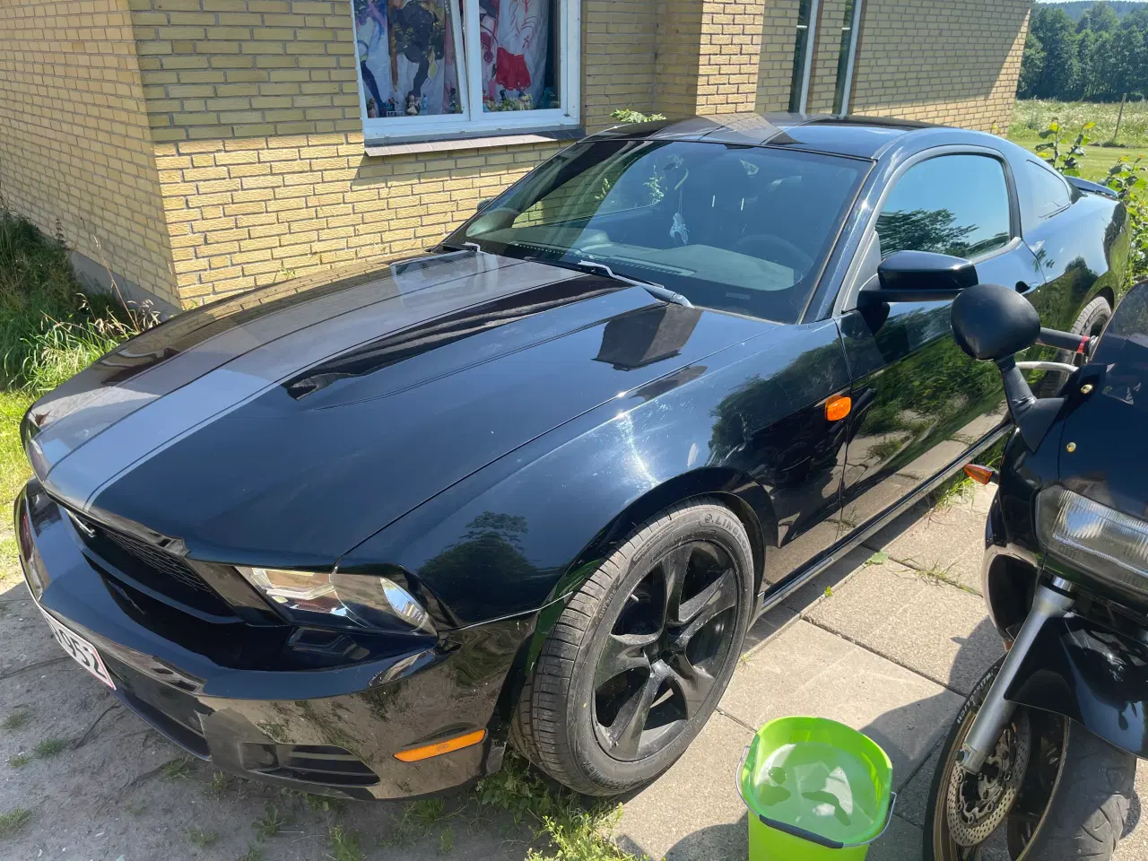 Billede 3 - Mustang