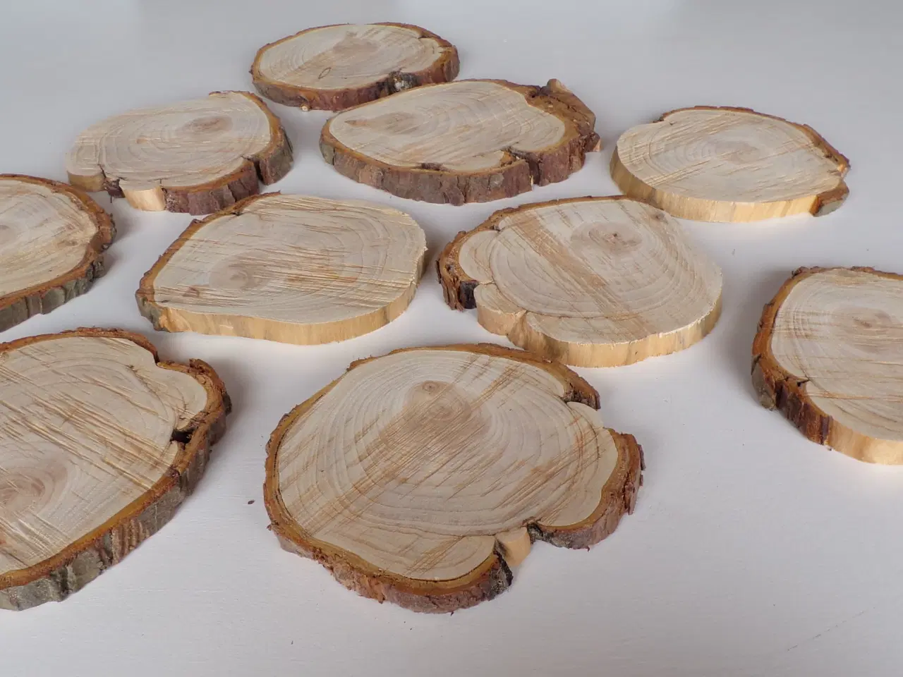 Billede 2 - 10 thuja træskiver 14 - 17,5 cm skæve faconer