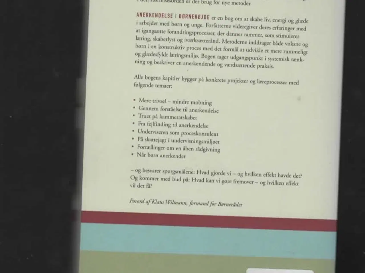 Billede 2 - Pædagogik anerkendelse