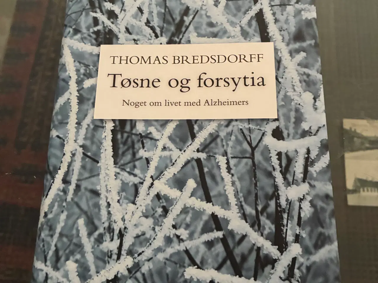 Billede 1 - Alzheimers Tøsne og Forsythia