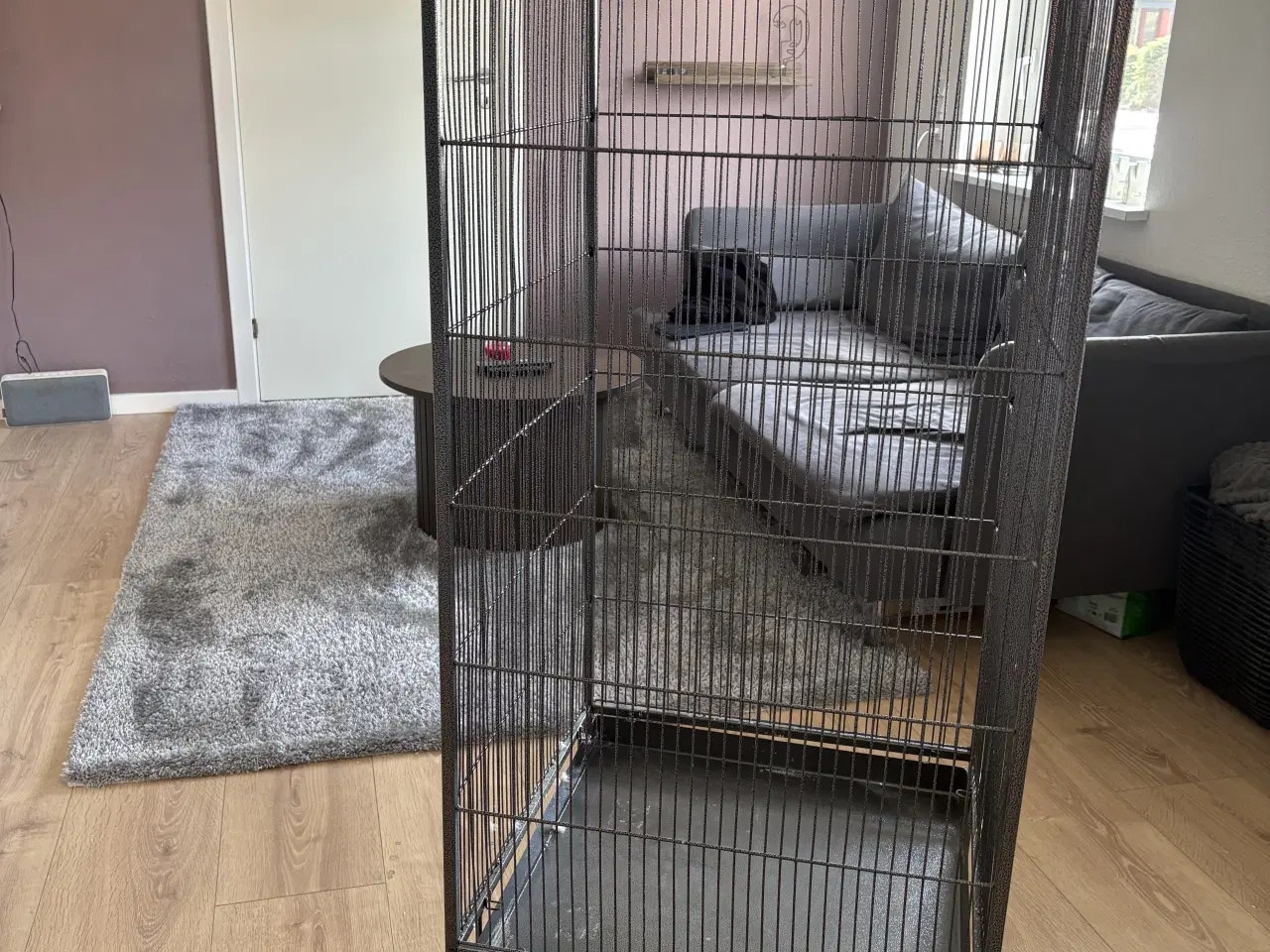 Billede 5 - Fuglebur