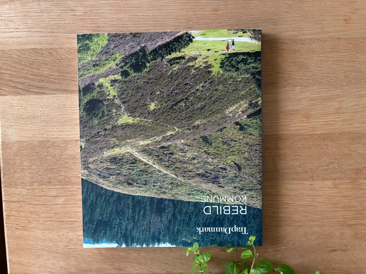 Billede 2 - Rebild Kommune  TrapDanmark