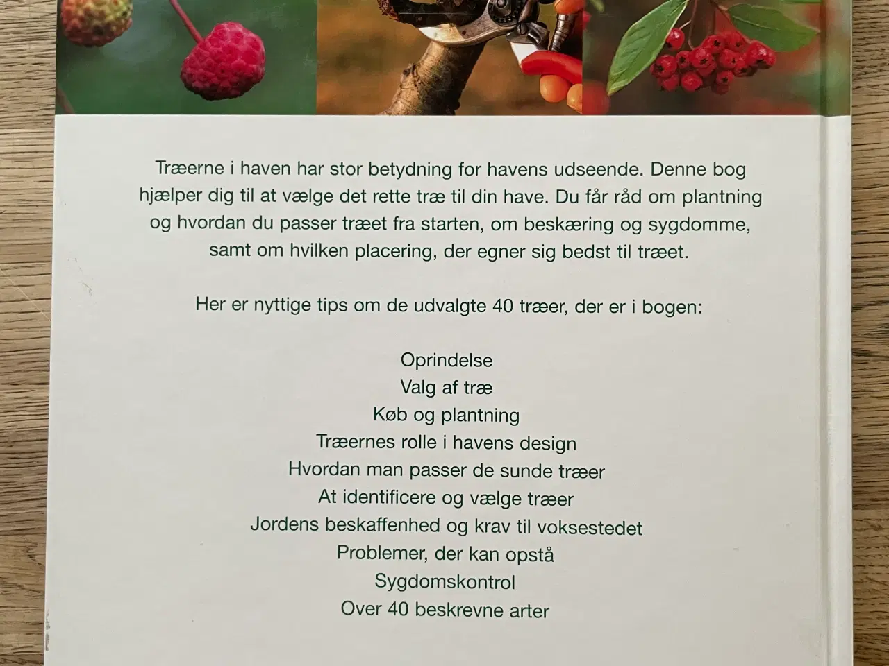 Billede 2 - Træer til haven, Peter McHoy
