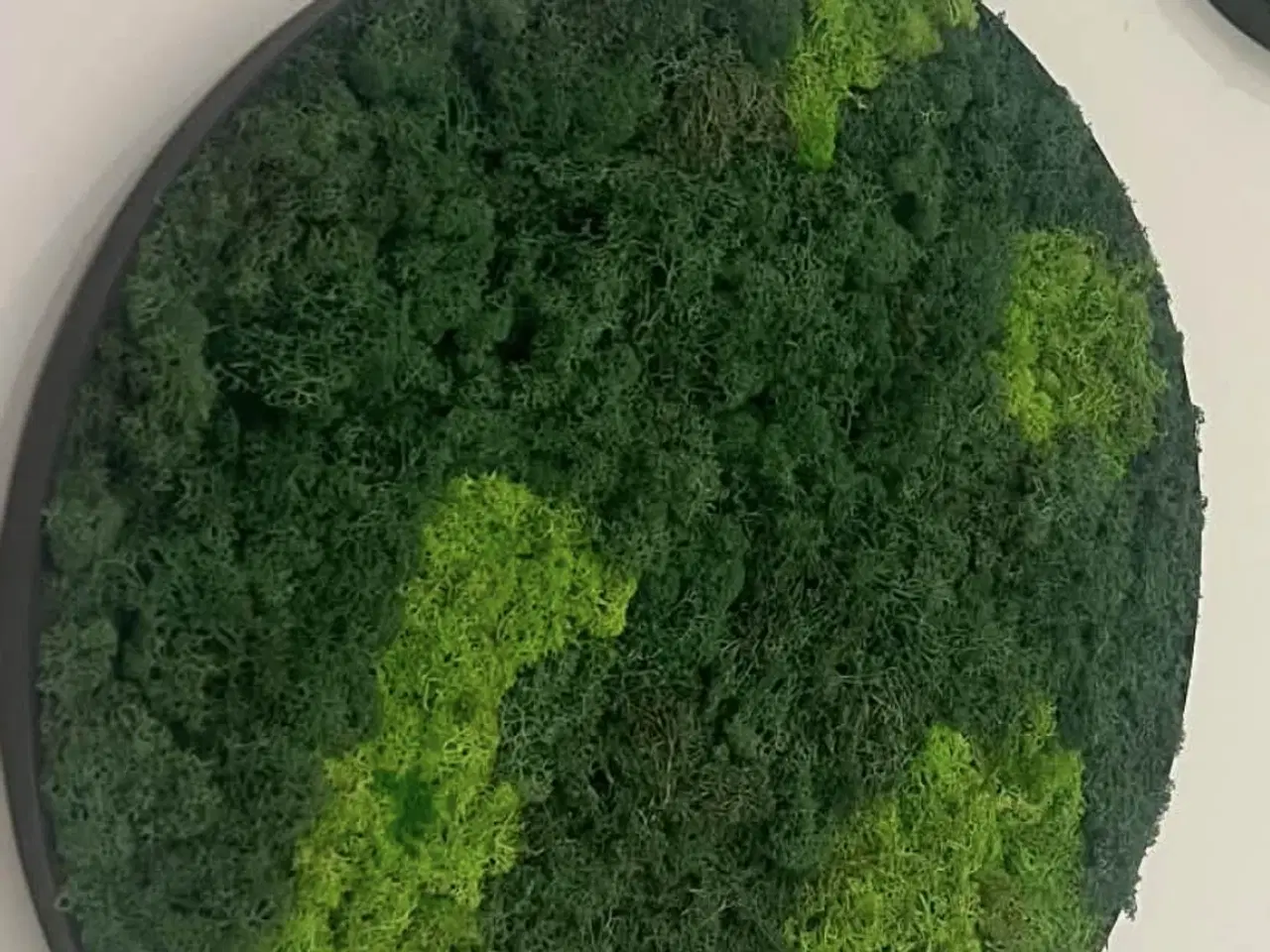 Billede 10 - Mos billeder vi laver 