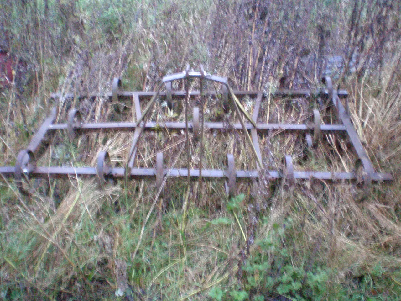 Billede 1 - Harve fjeder tand