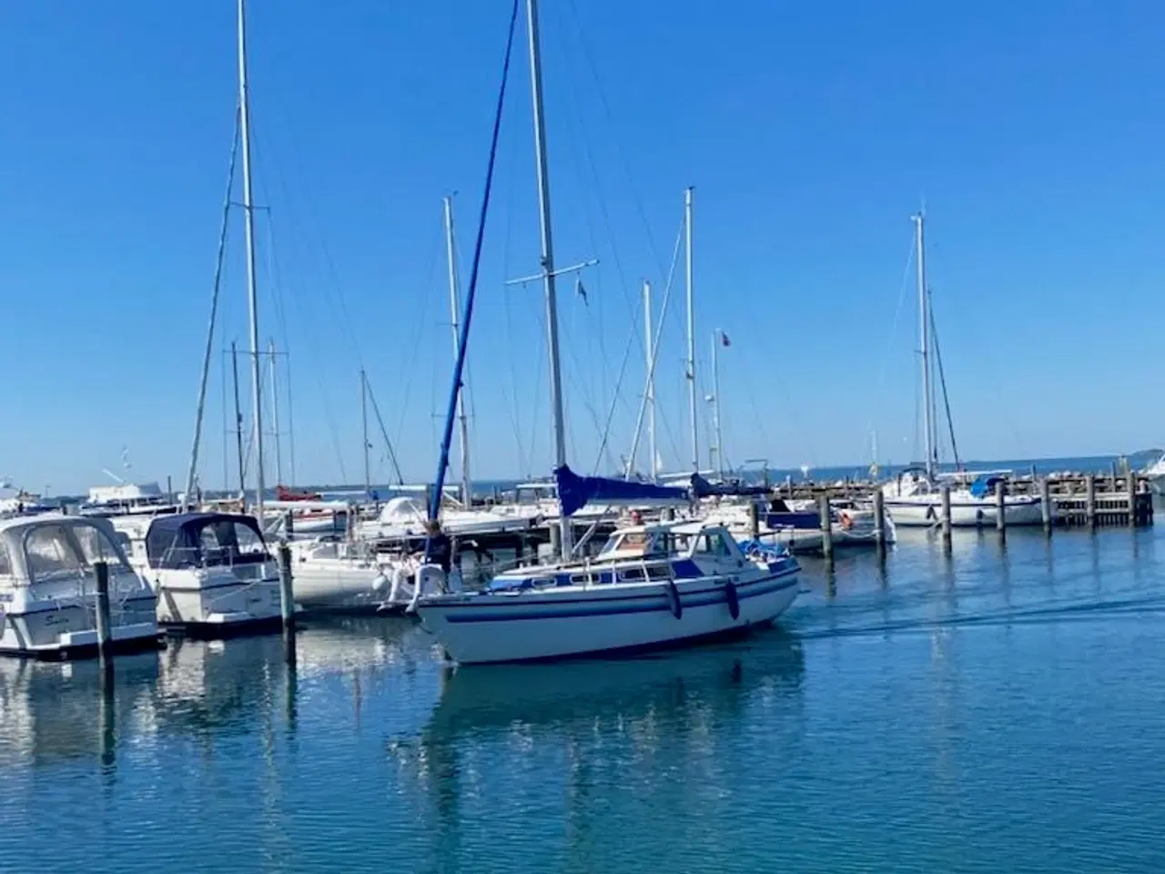 Billede 1 - Flot og velholdt Mascot 28