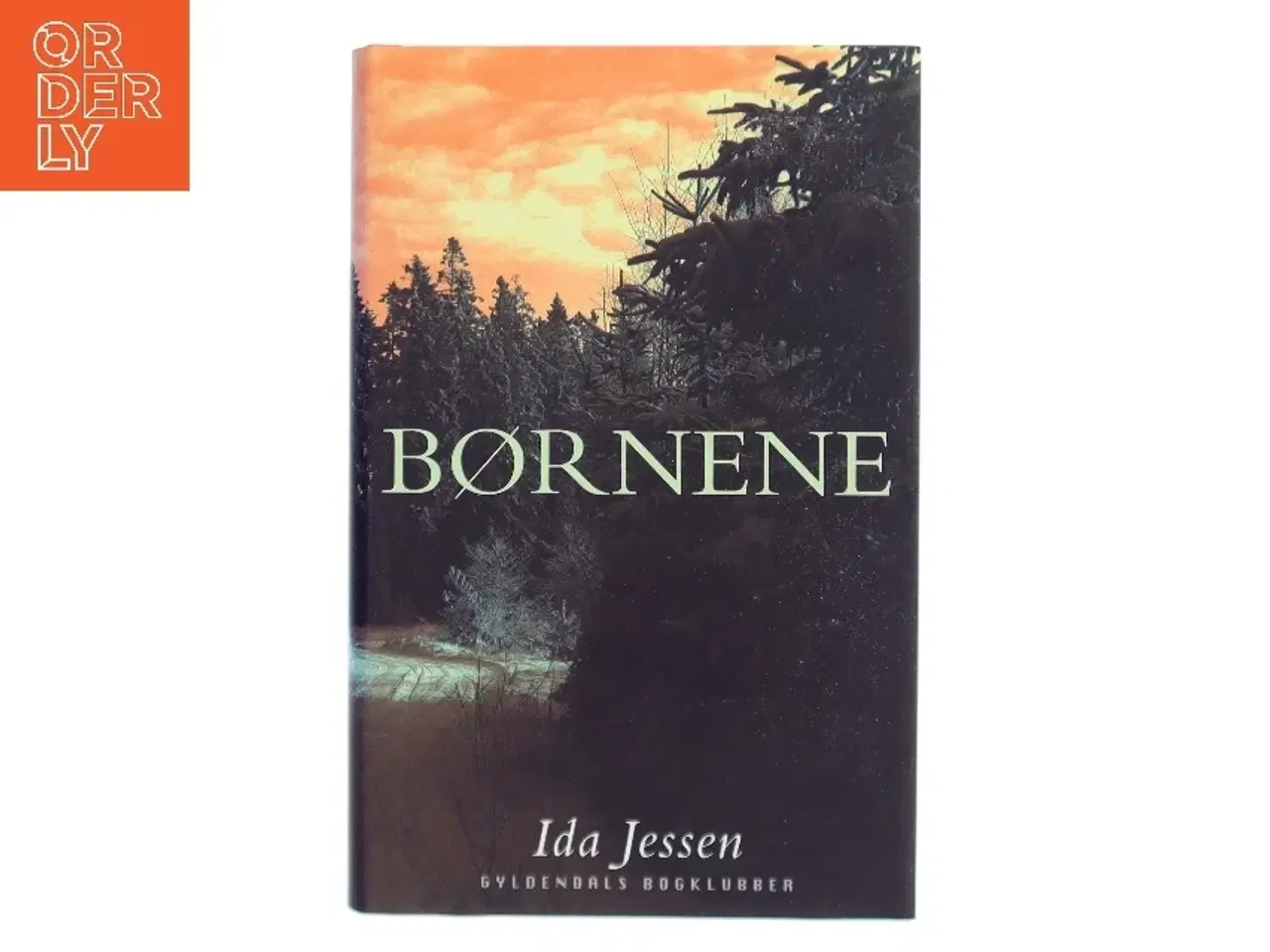 Billede 1 - Børnene af Ida Jessen (Bog)