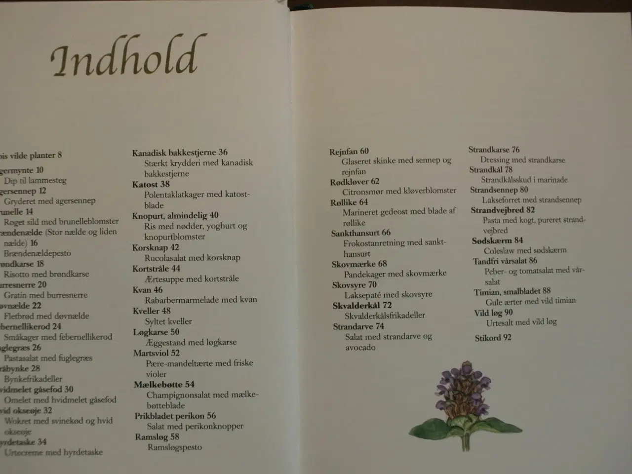 Billede 2 - spiselige vilde planter, af anemette olesen, emne: