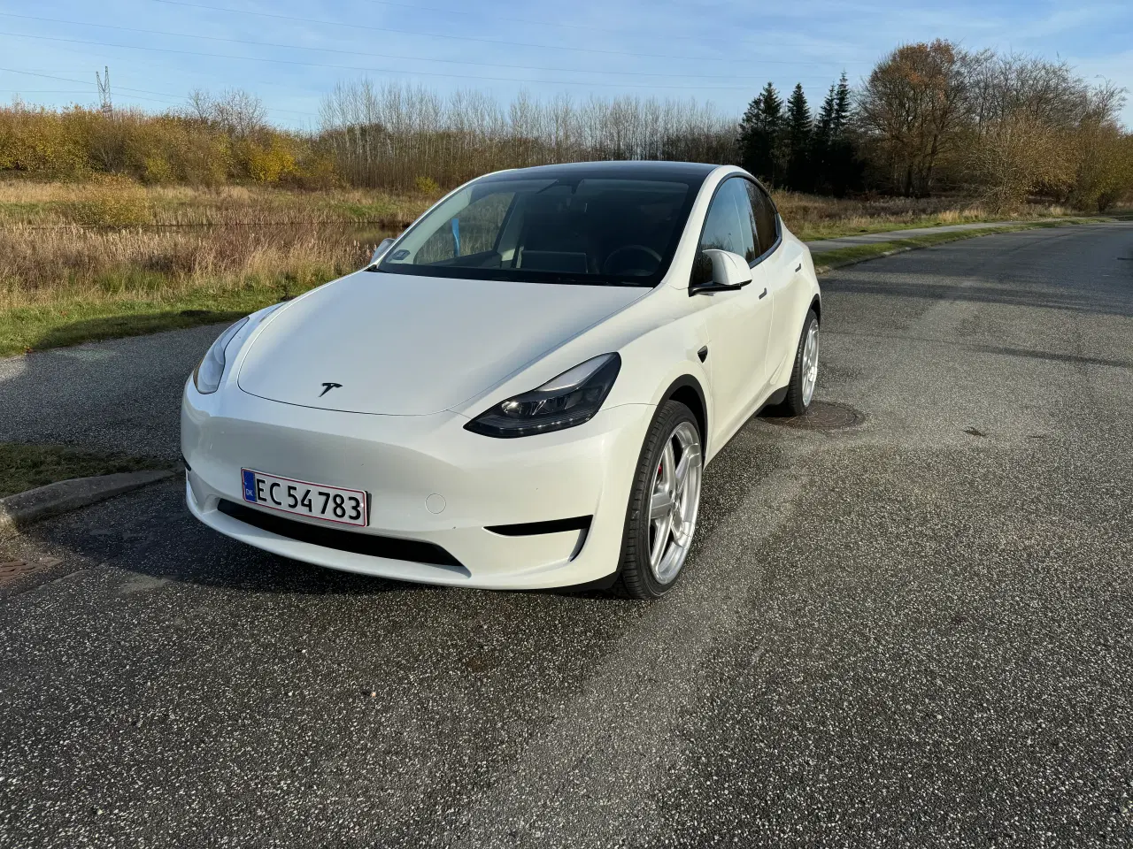 Billede 10 - Tesla y nye 22 tommer fælge med helårsdæk kørt 400