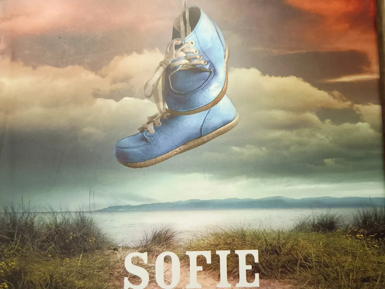 Billede 1 - I Stedet For Dig af Sofie Sarenbrant.