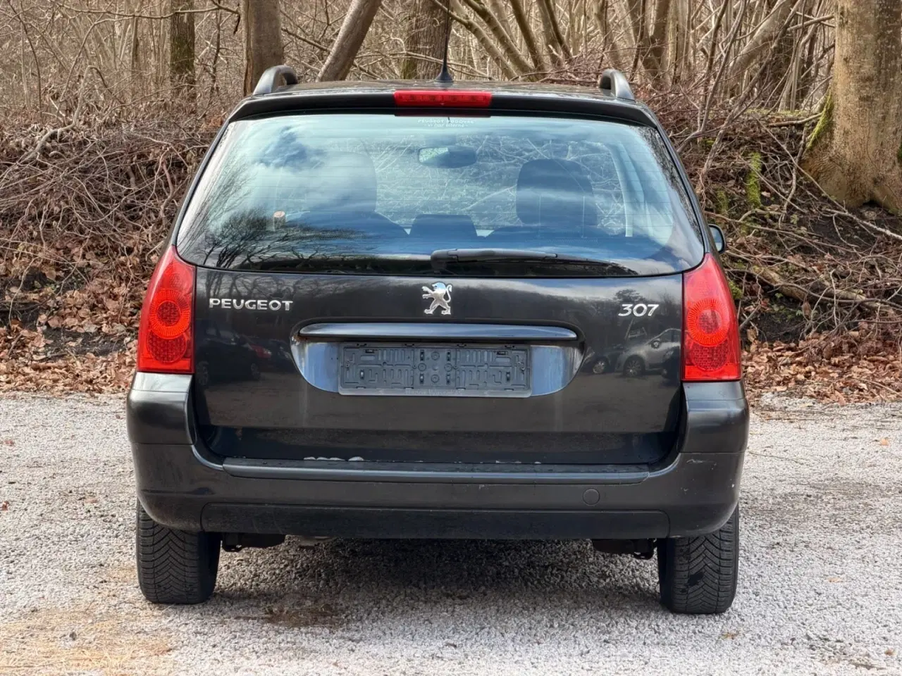 Billede 7 - Peugeot 307 1,6 Complete SW