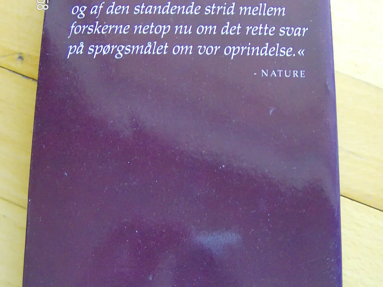 Billede 2 - Jagten på Eva 