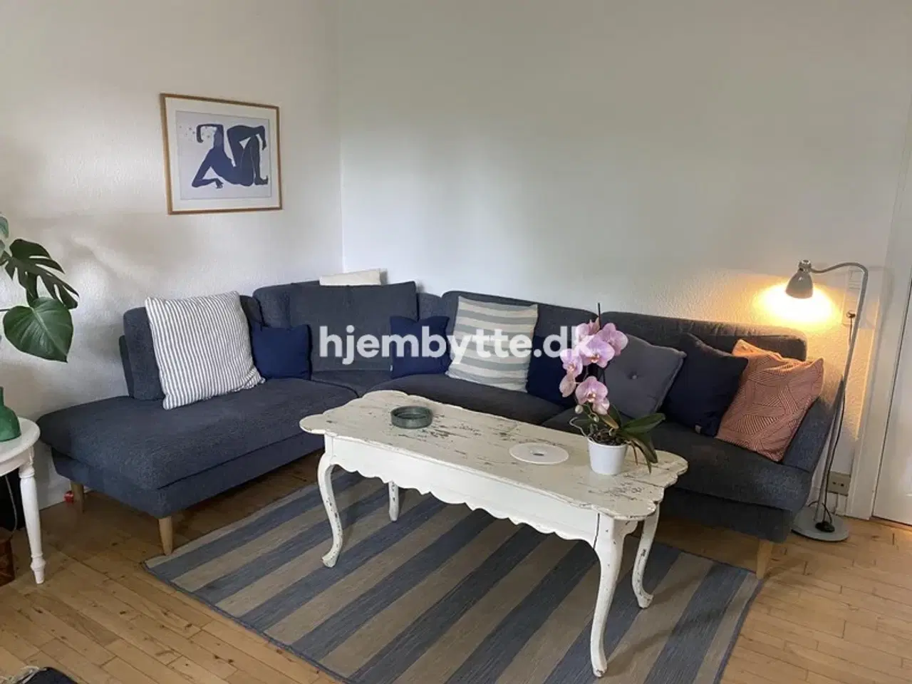 Billede 4 - Hjembytte - Sorgenfrigårdsvej