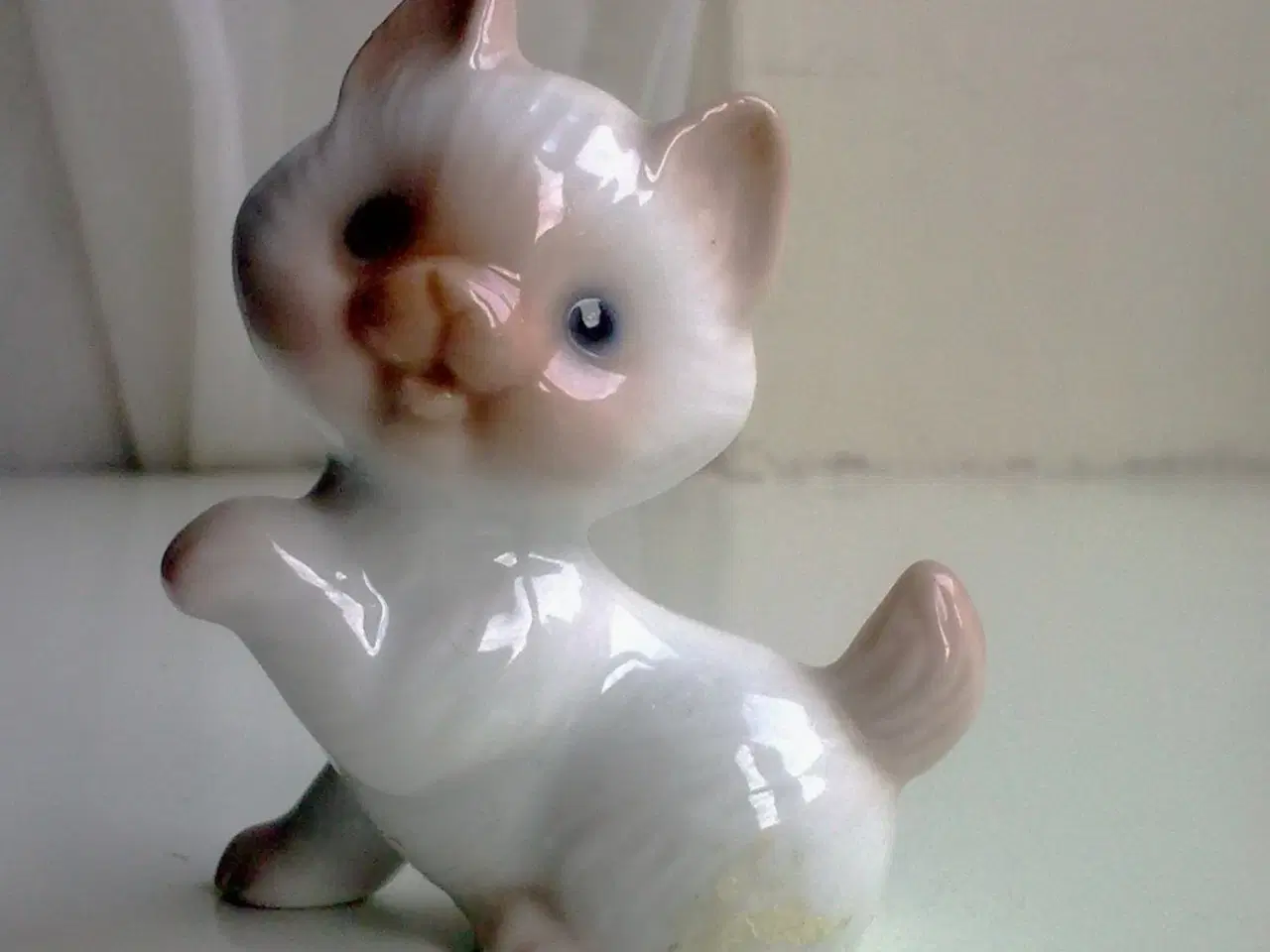 Billede 13 - Ragdoll misinformation m Birdie Nam Nam