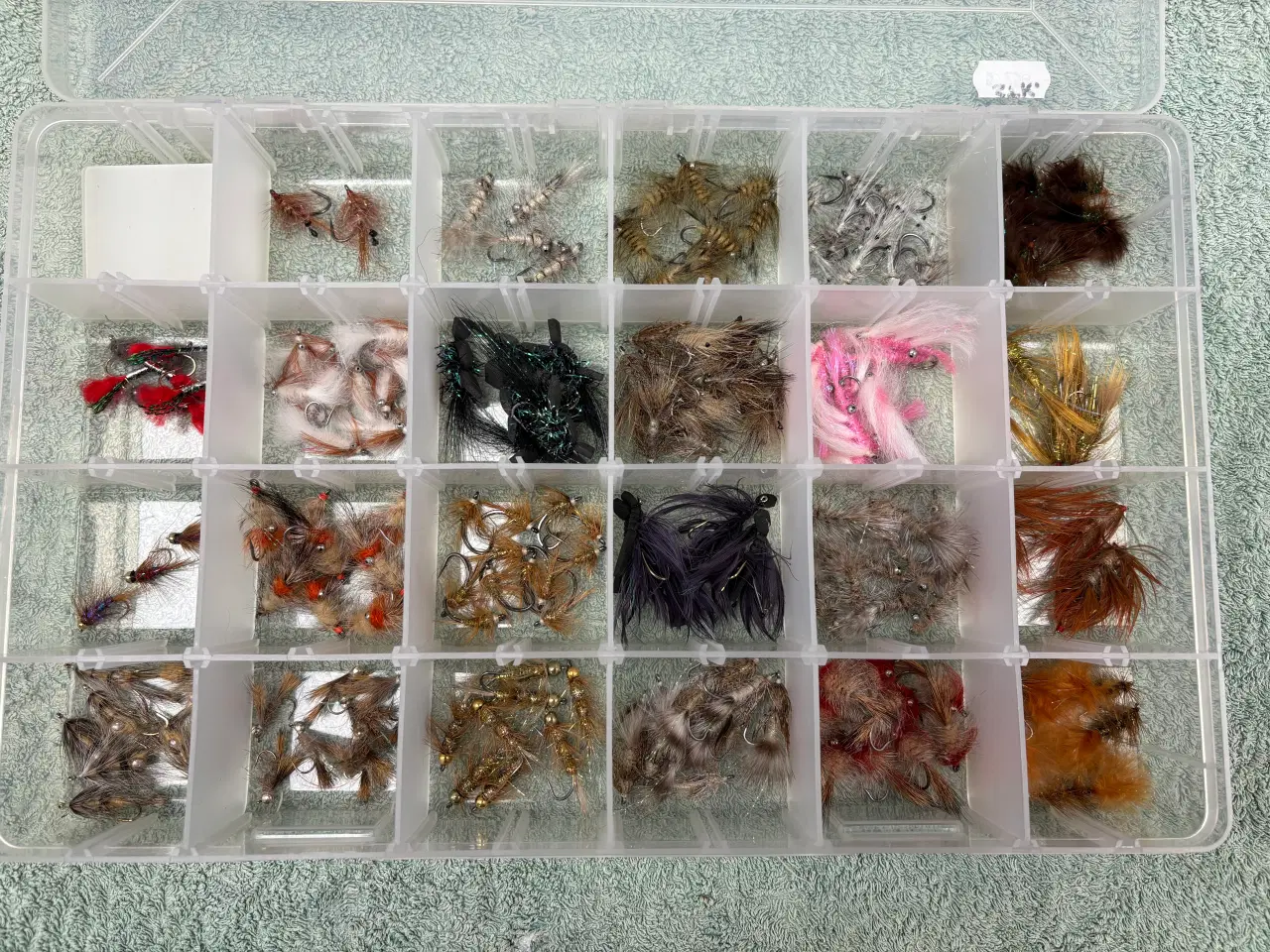 Billede 1 - Kystfluer fra Henrik Agerskov