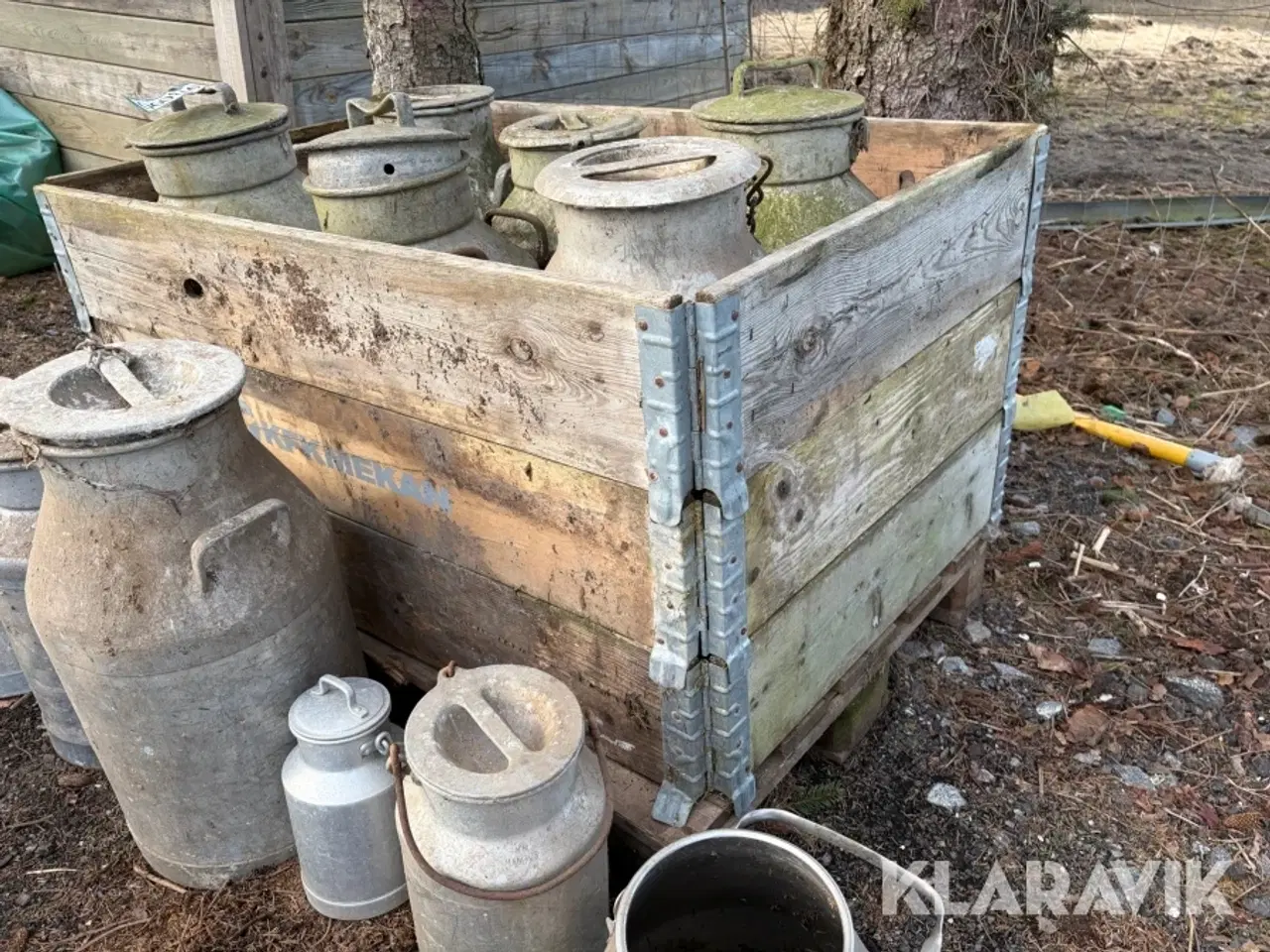 Billede 3 - Mælkejunger 12 styk samlet lot