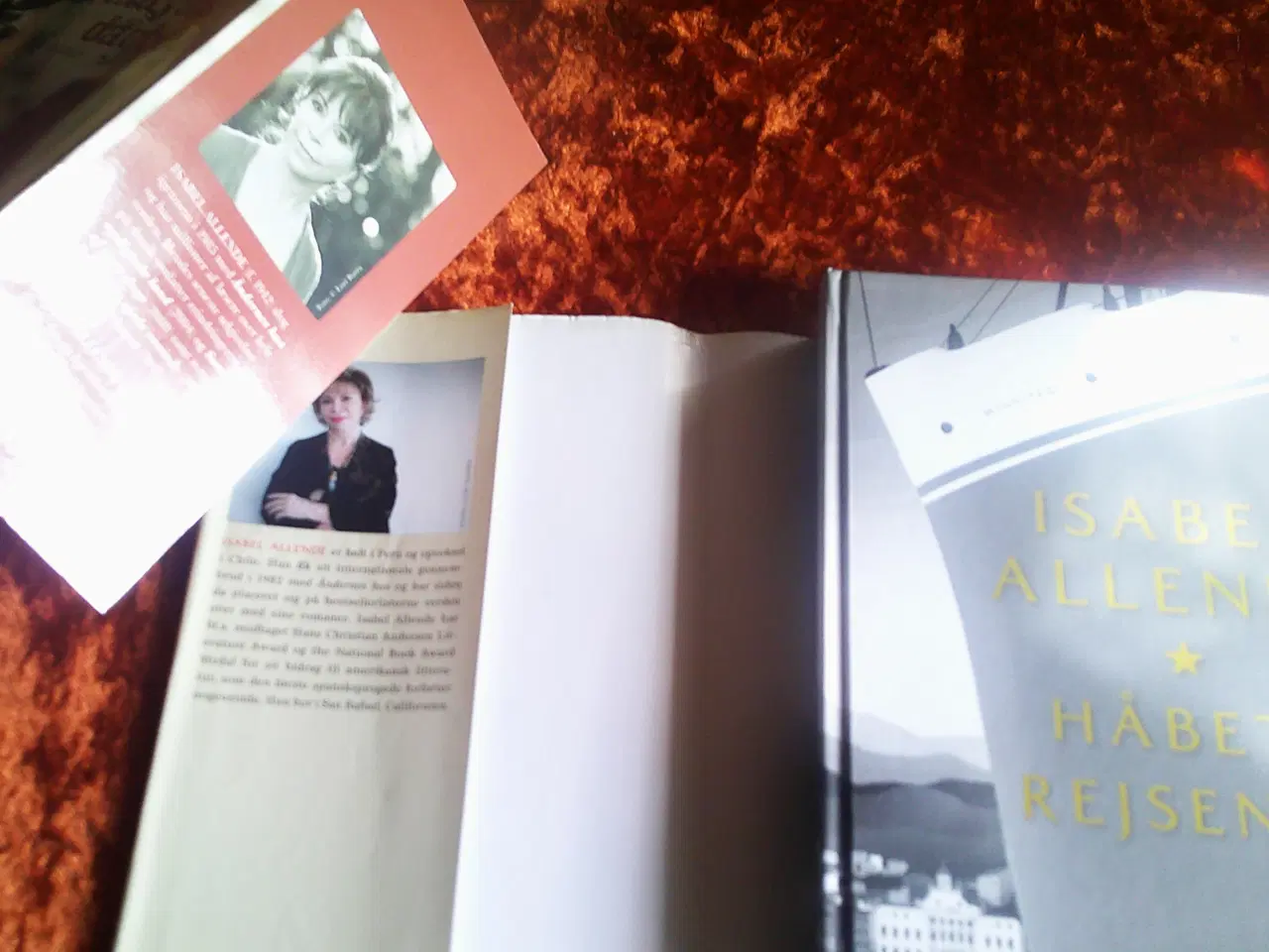 Billede 2 - Portræt i Sepia m.fl., Isabel Allende