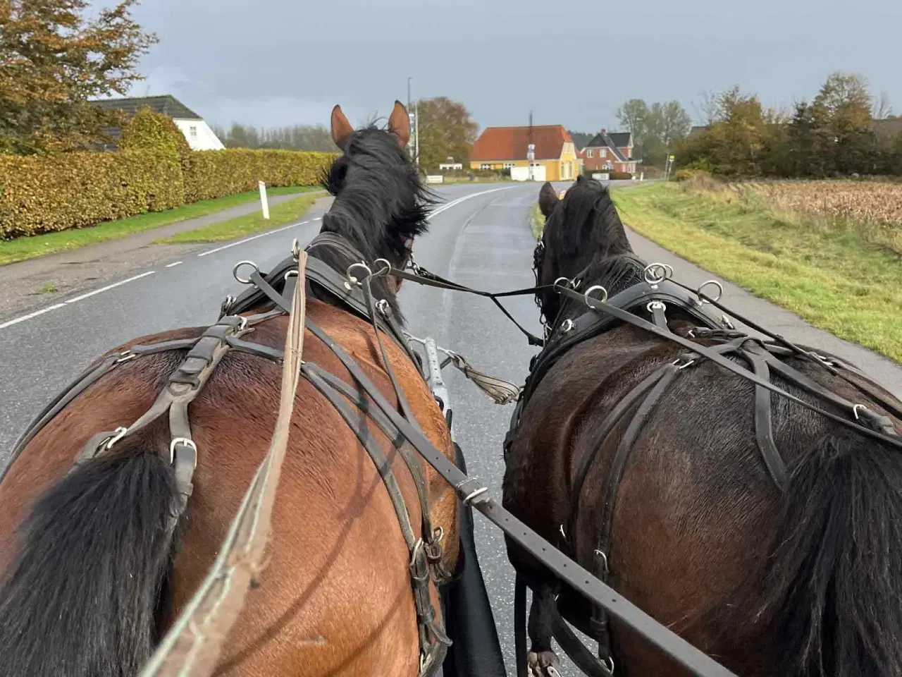Billede 1 - 2–spand Hestevogn KØBES