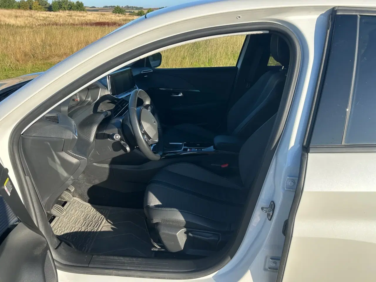 Billede 9 - Peugeot 208 1,2 PureTech 100 Evolution