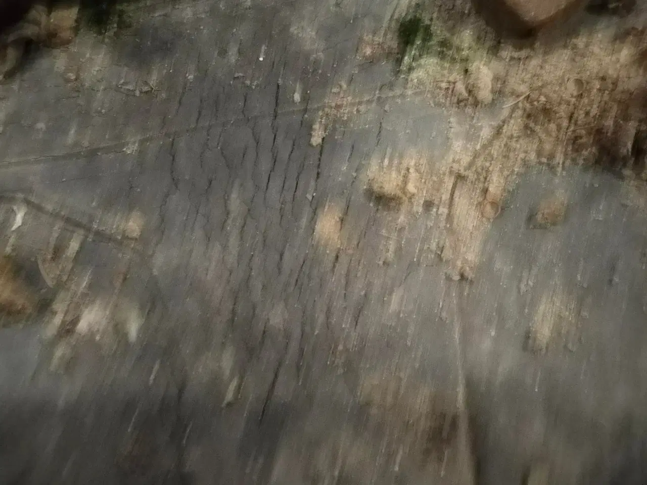 Billede 12 - - - - 16,9 x 38