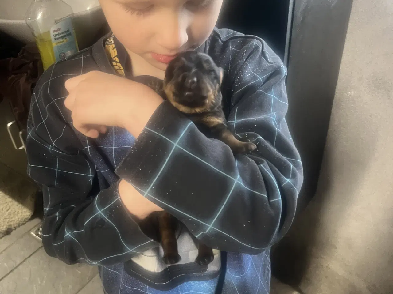 Billede 3 - Skønne hvalpe