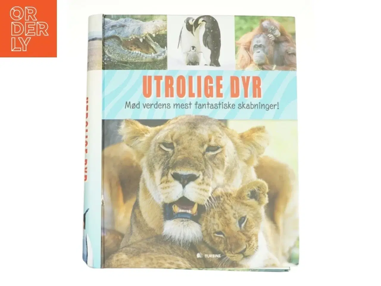 Billede 1 - Utrolige dyr (Bog)