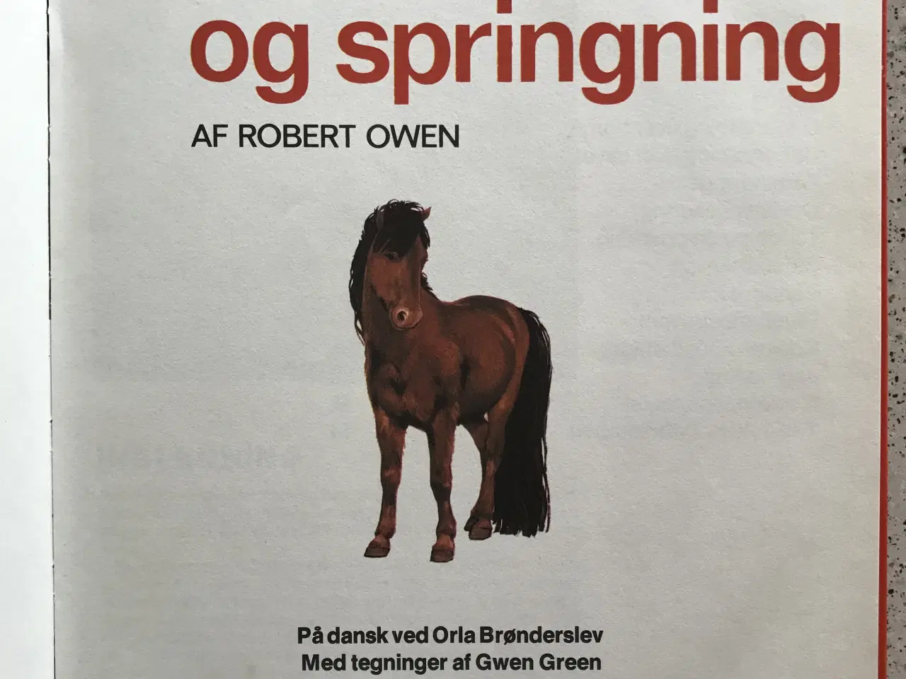 Billede 2 - Ridning og springning
