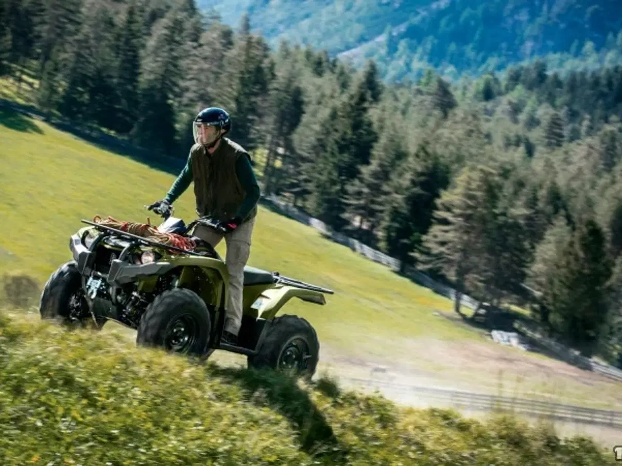 Billede 6 - Yamaha Kodiak 450 IRS -  Ikke Traktor