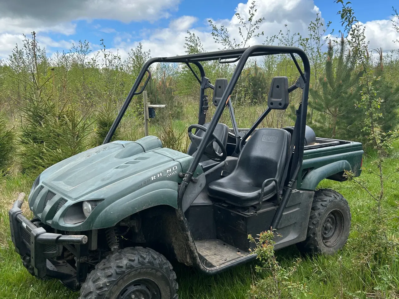 Billede 1 - Yamaha Rhino 