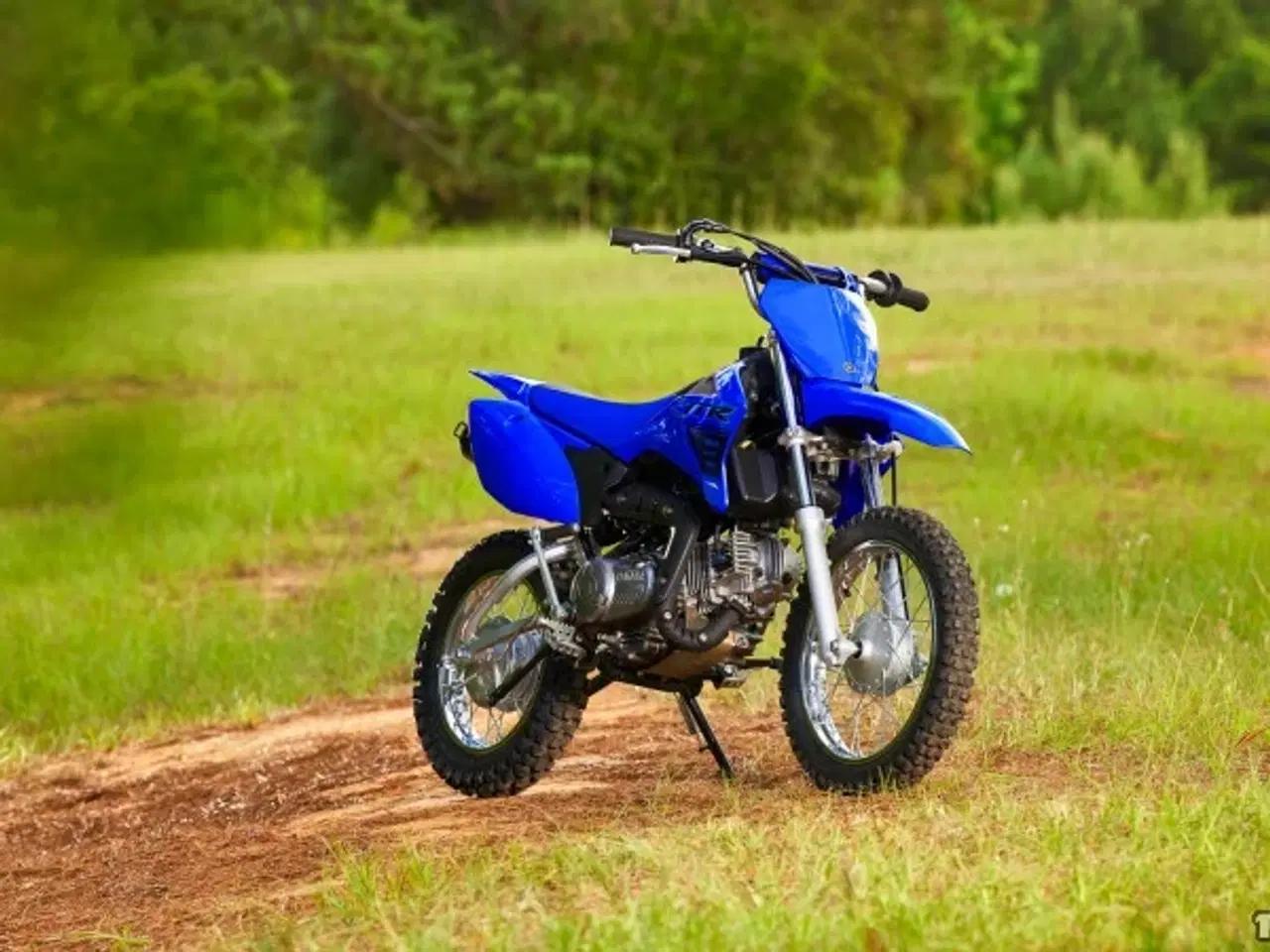 Billede 2 - Yamaha TTR 110