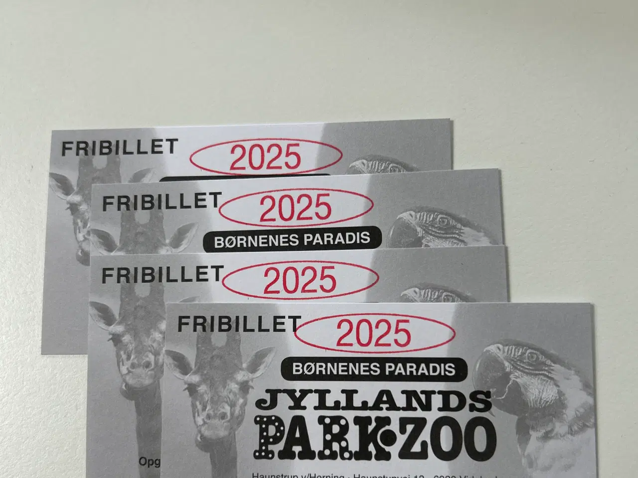 Billede 1 - Jyllands park zoo