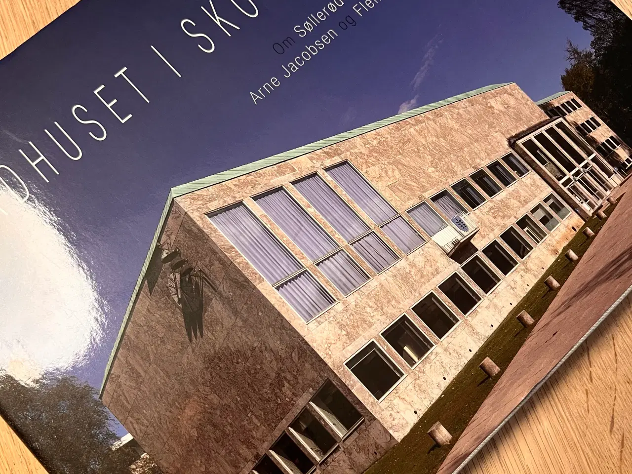 Billede 1 - Rådhuset i Skovbrynet – smuk og dybdegående bog