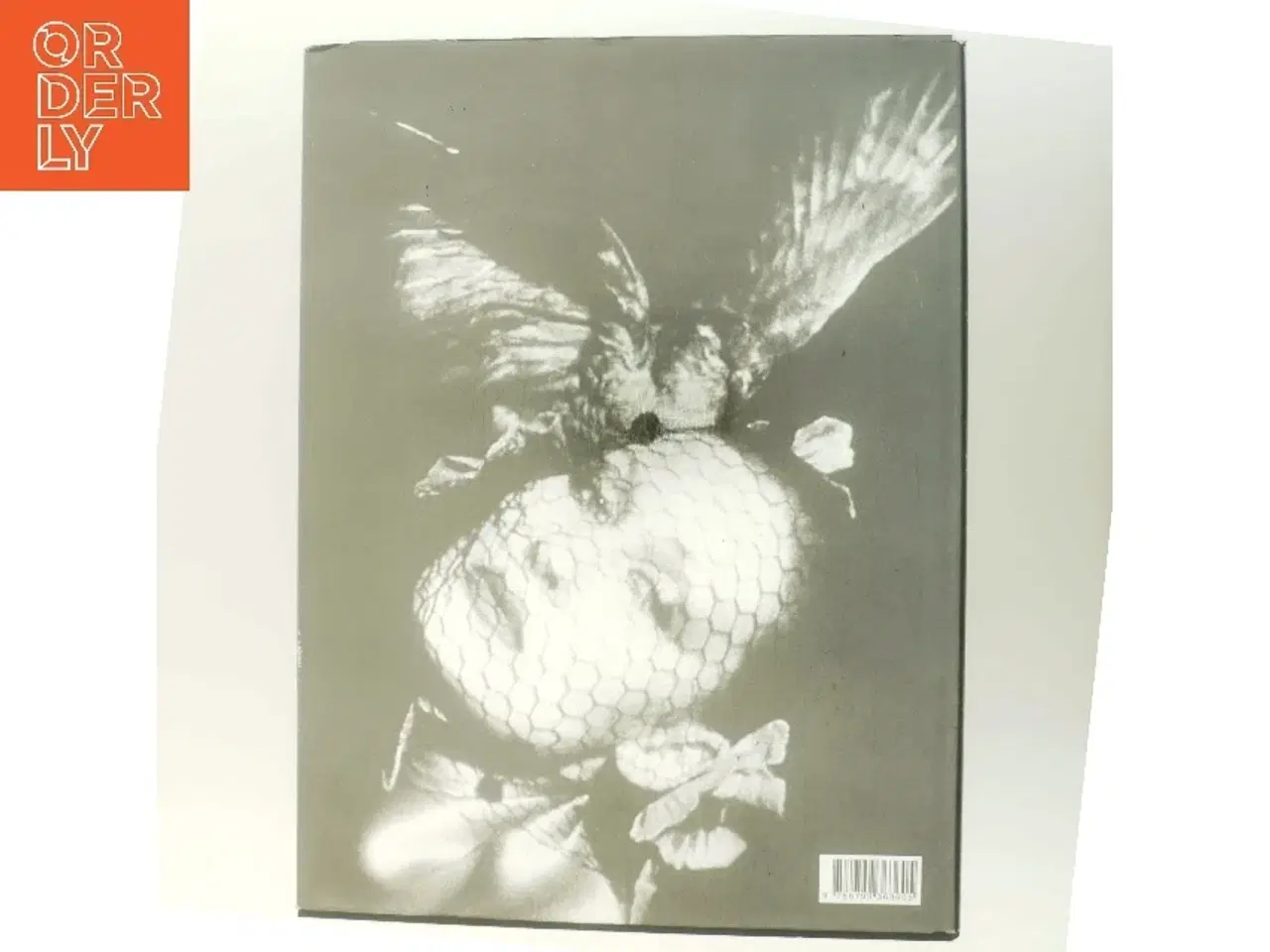 Billede 3 - Jean Voigt : lyset rammer selv det unævnelige af Maria Sander (f. 1954-01-31) (Bog)