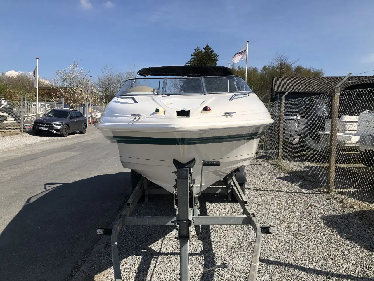 Billede 3 - Campion 565 SC Allante