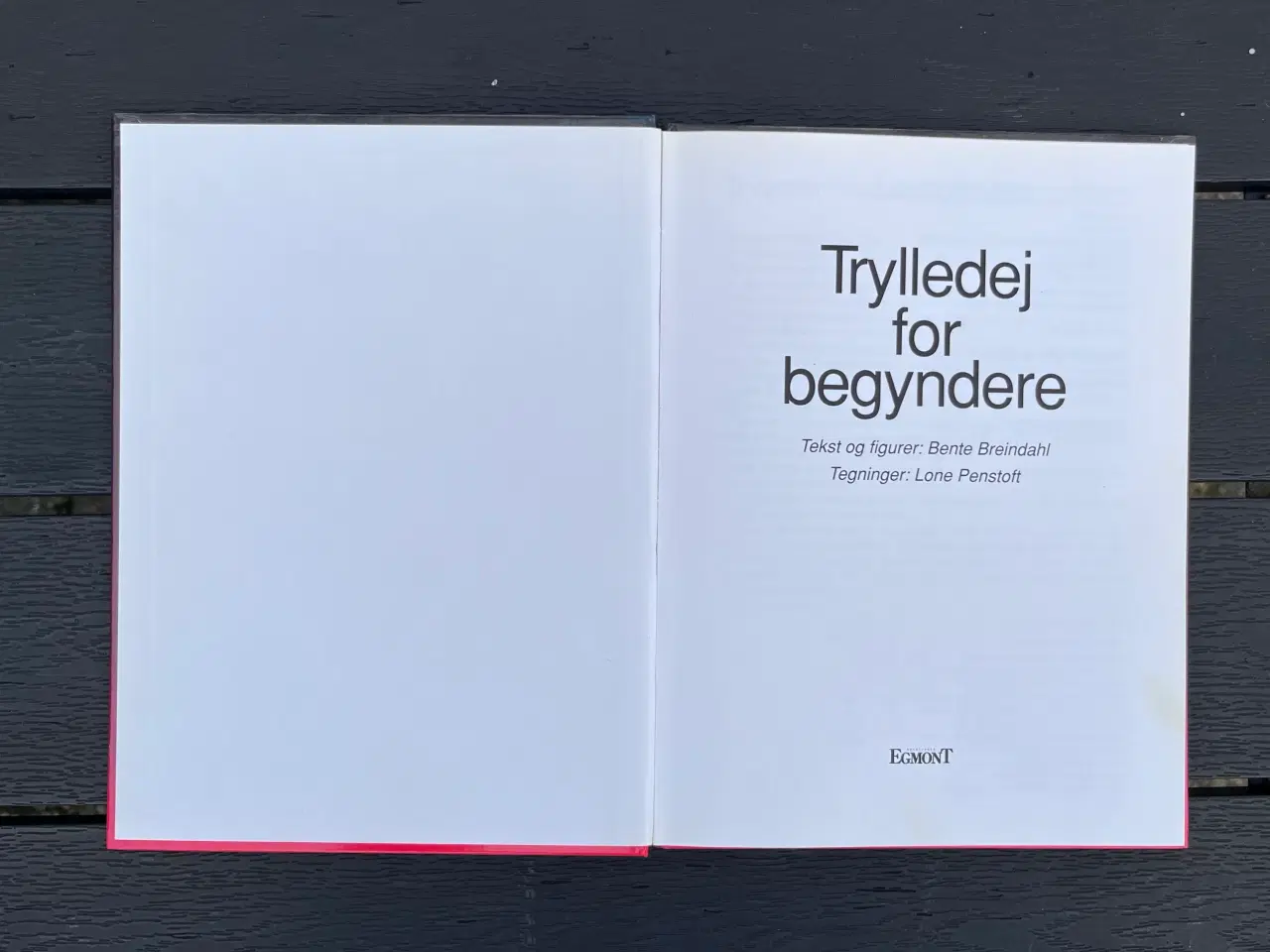 Billede 3 - Trylledej for begyndere af Bente Breindahl og Lone