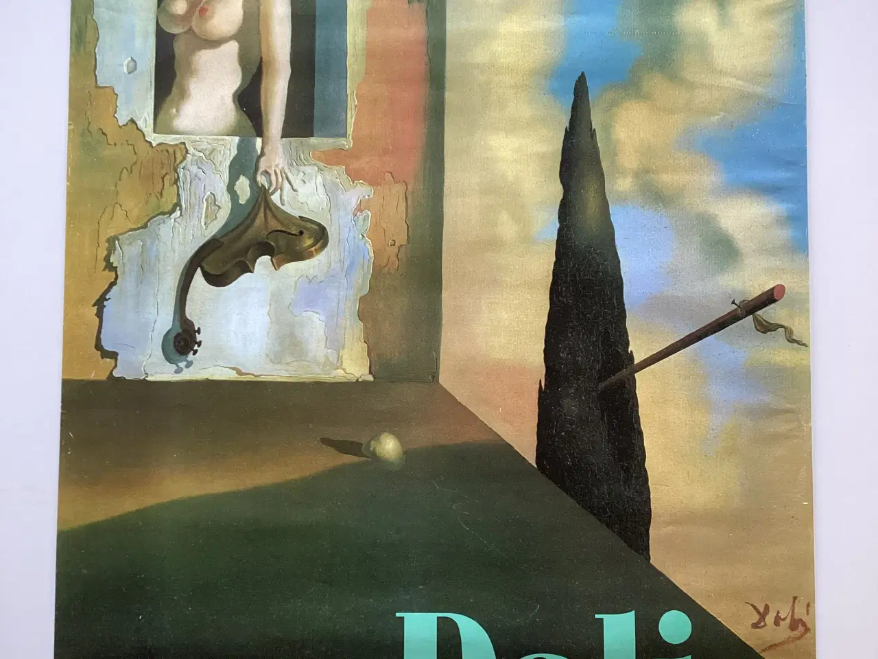 Billede 1 - Salvador Dali plakat