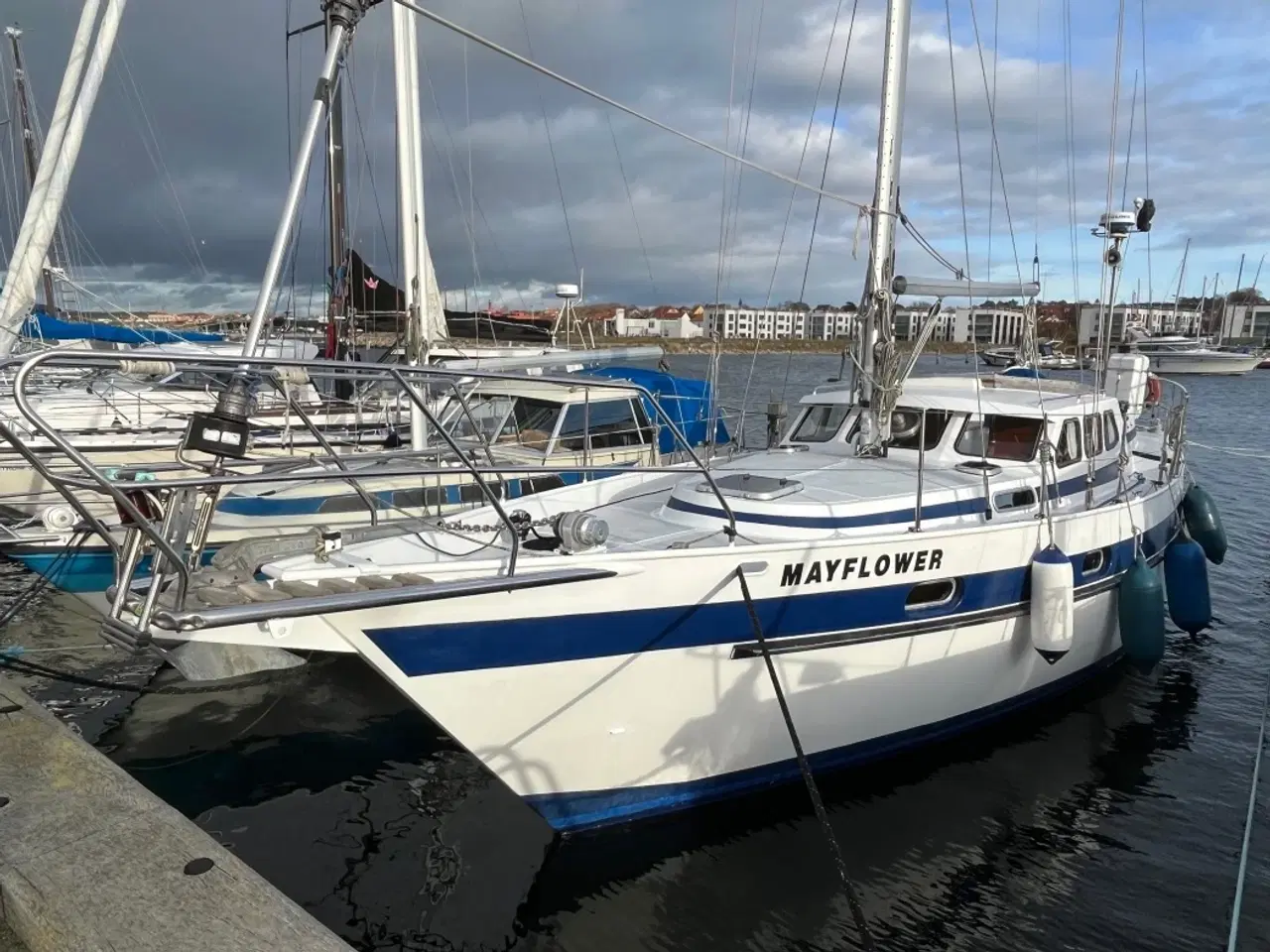 Billede 3 - Motiva 41 S