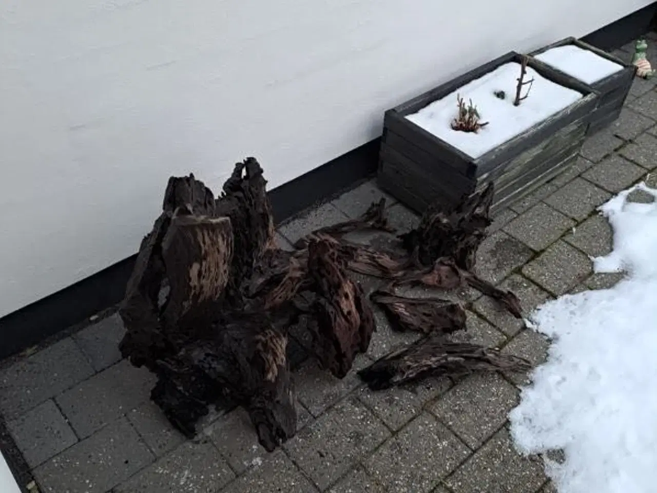 Billede 3 - Trærødder til dekoration