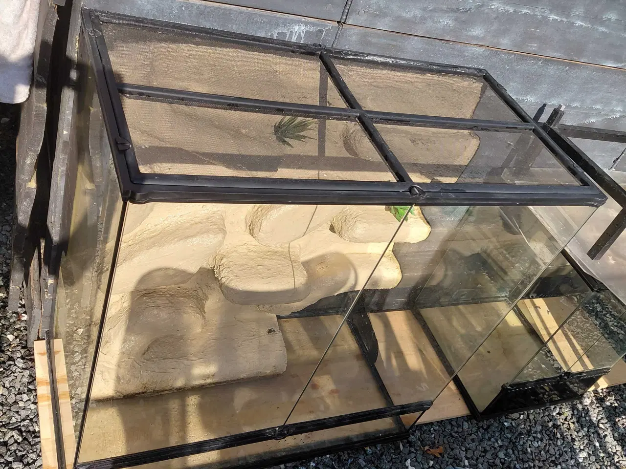 Billede 5 - Terrarium 