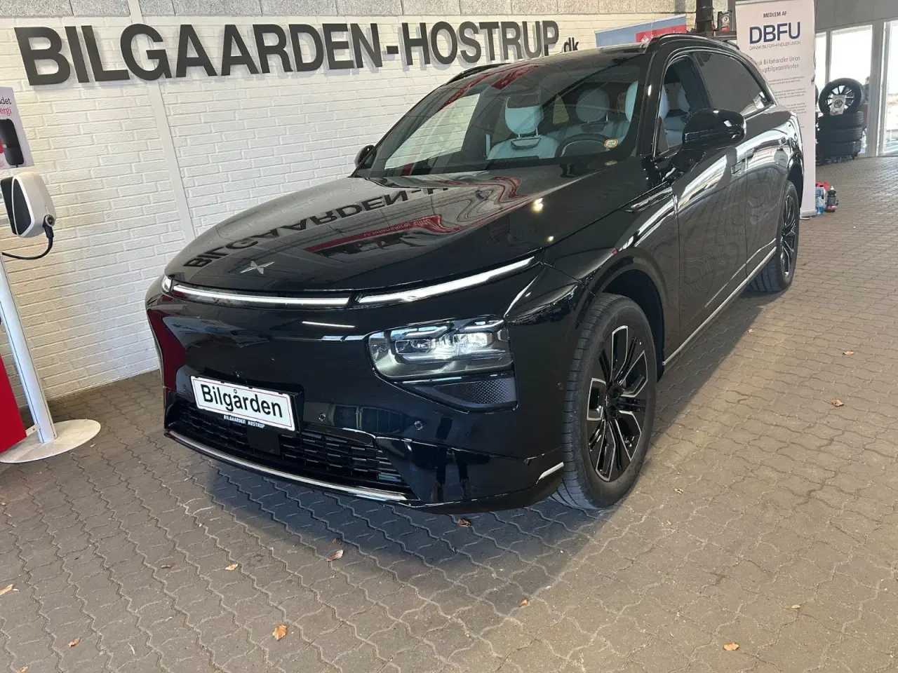 Billede 1 - Xpeng G9  Standard Range