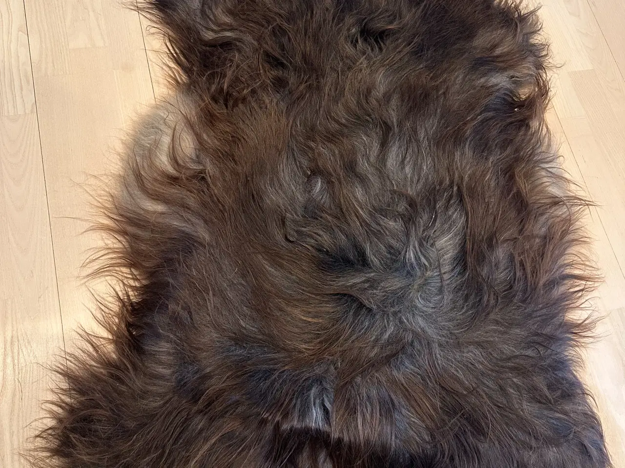 Billede 2 - helt nyt langhåret lammeskind 