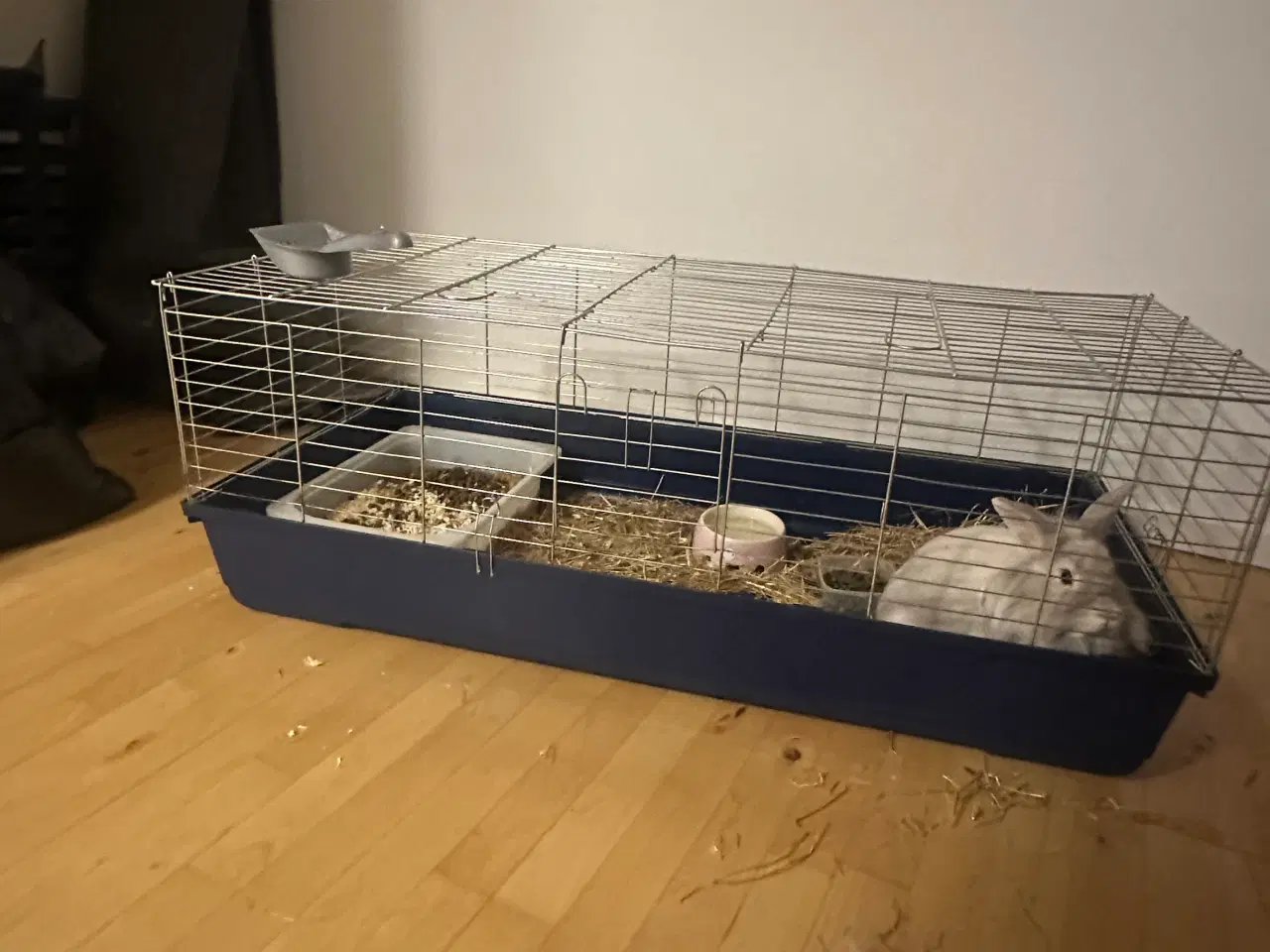 Billede 2 - Starter pakke til kanin/marsvin osv 