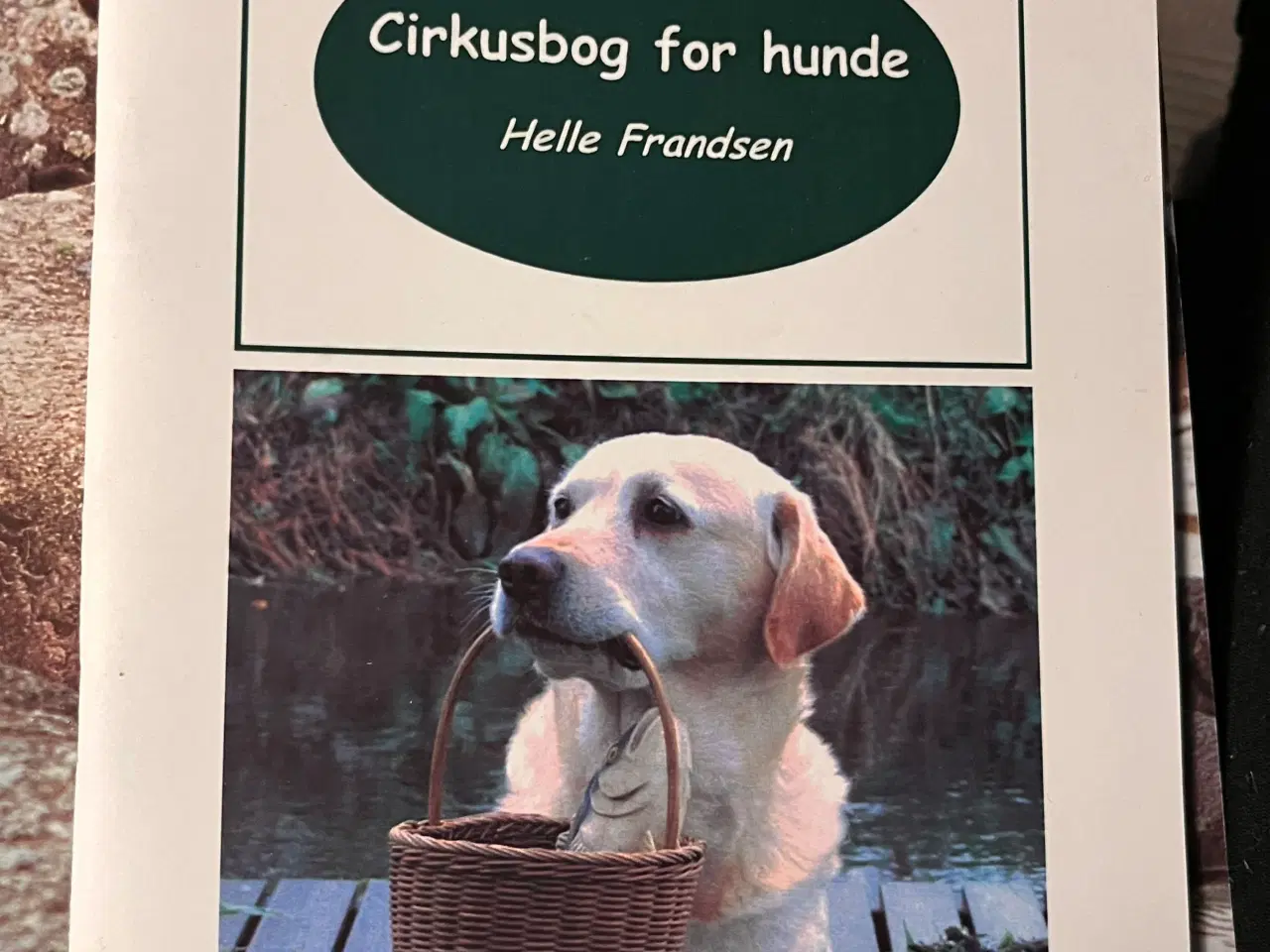 Billede 12 - Hundetræning, adfærd og viden om hunde