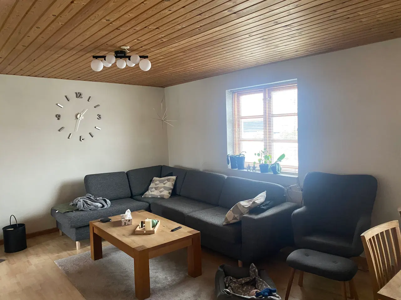 Billede 5 - Hus sælges (Hjørring Kommune )