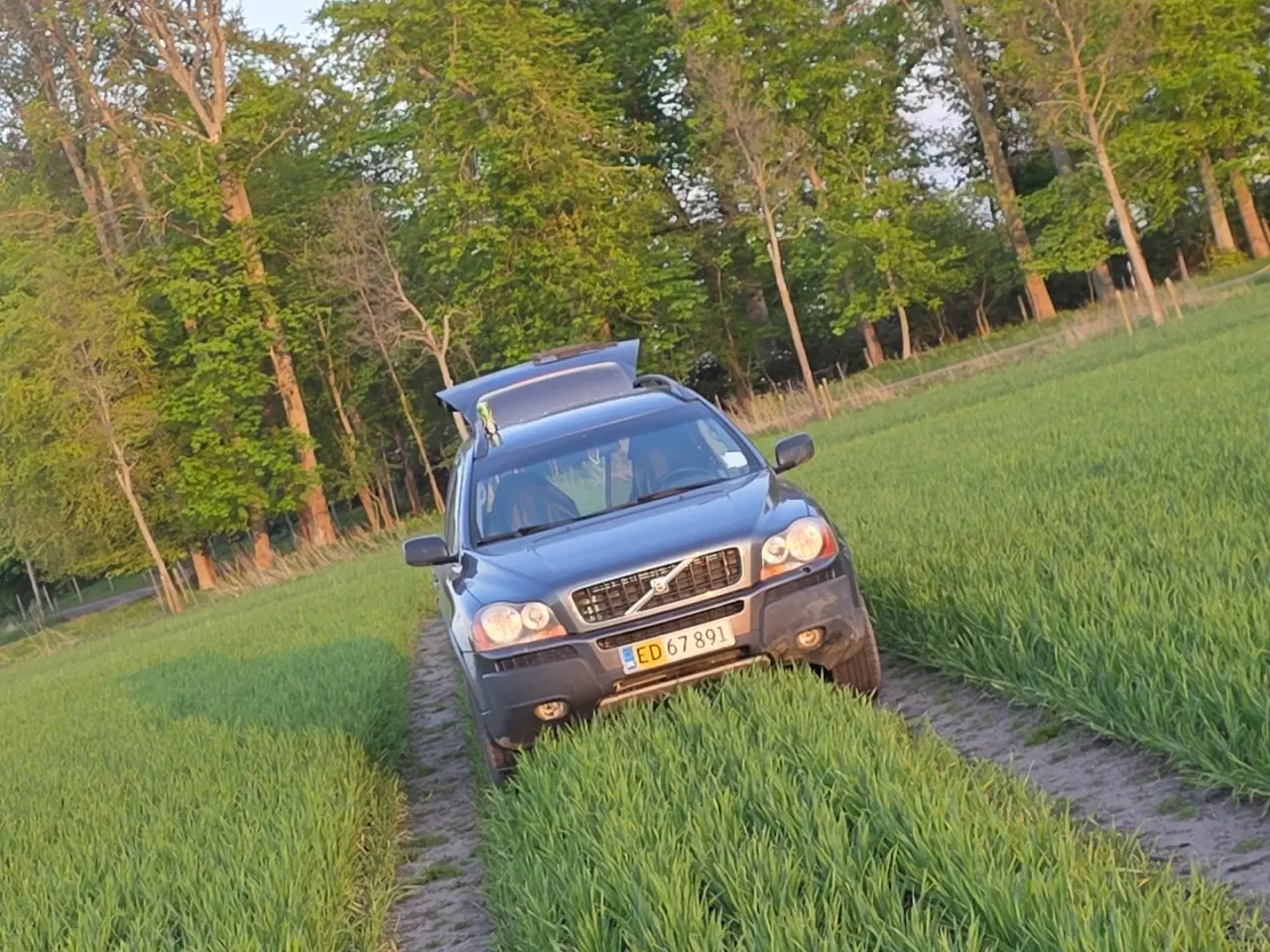 Billede 6 - Volvo xc 90 d5 awd