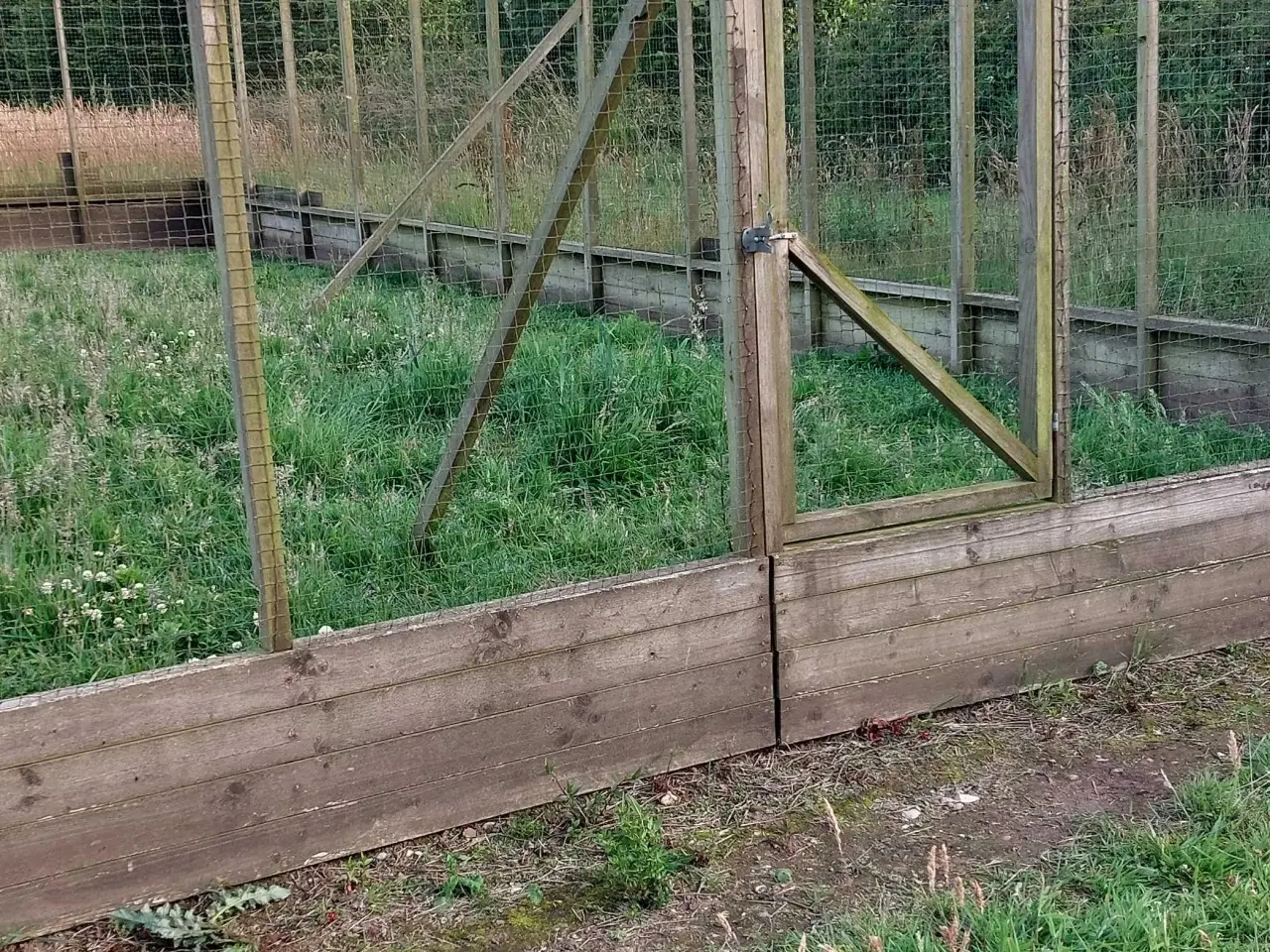 Billede 1 - Voliere rammer 180 cm X 300 cm
