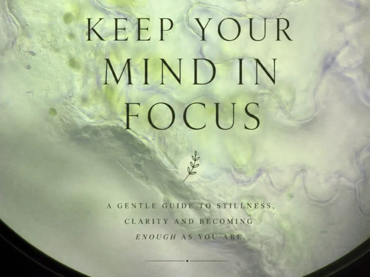 Billede 1 - Keep your mind in focus
