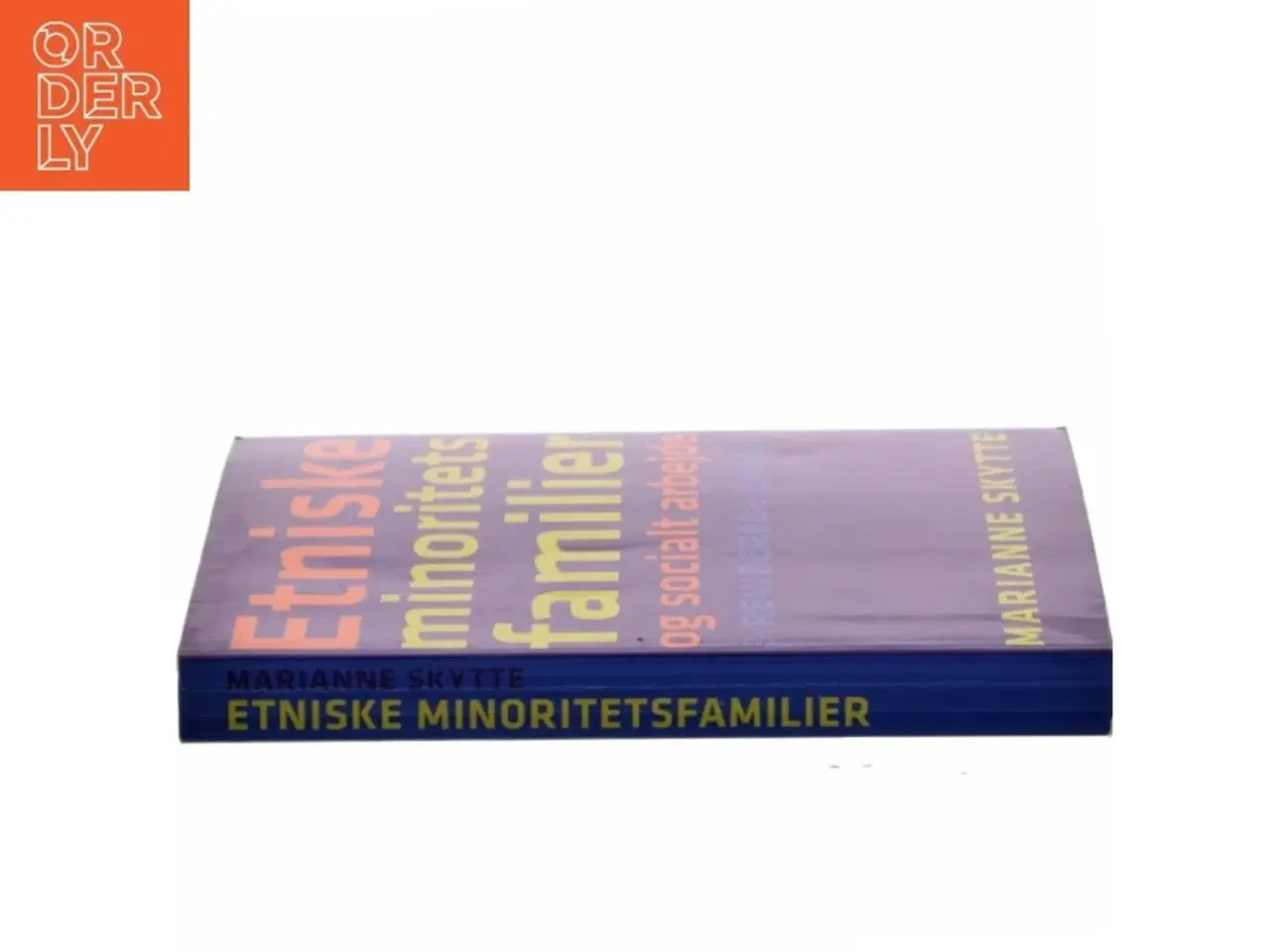 Billede 2 - Etniske minoritetsfamilier og socialt arbejde af Marianne Skytte (Bog)