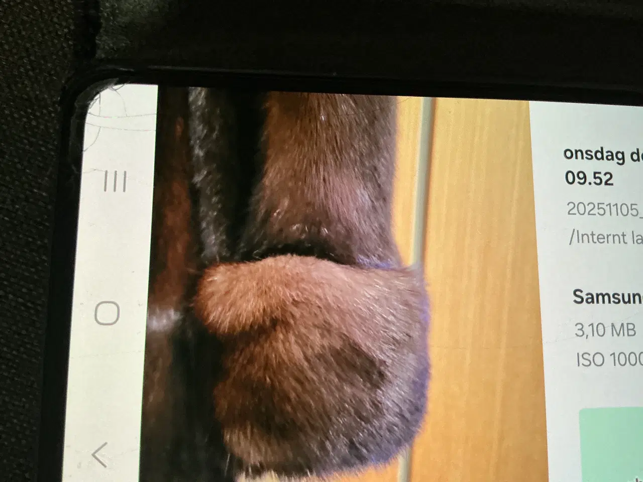 Billede 5 - Saga svinger mink pels